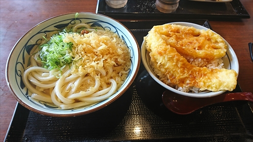 31���E���������1���N�ՁI